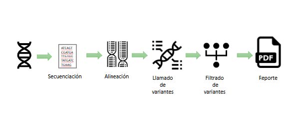 Proceso de análisis genómico